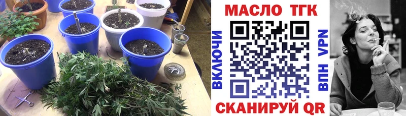 Купить где  Камышлов  Дистиллят ТГК гашишное масло 