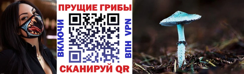Псилоцибиновые грибы прущие грибы Купить где Камышлов